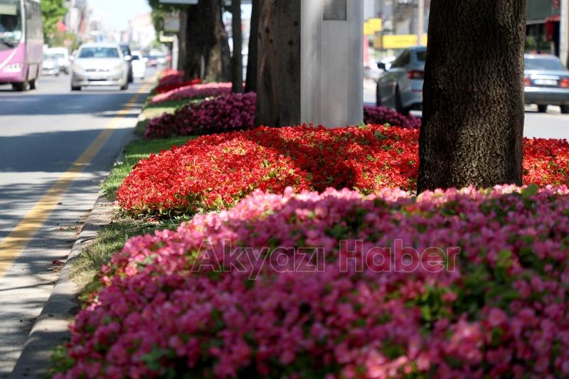 Şehrin en işlek caddeleri çiçek bahçesine dönüşüyor