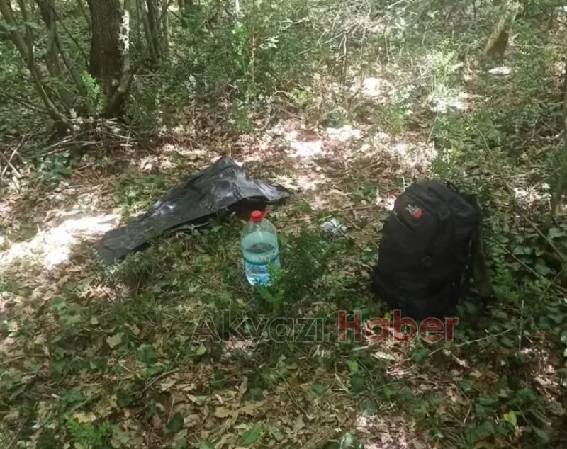 Kaçak göçmenler ormanda yakalandı