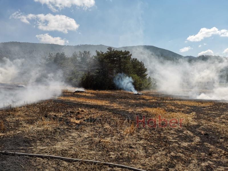 Sakarya'da 7 günde 181 yangın çıktı