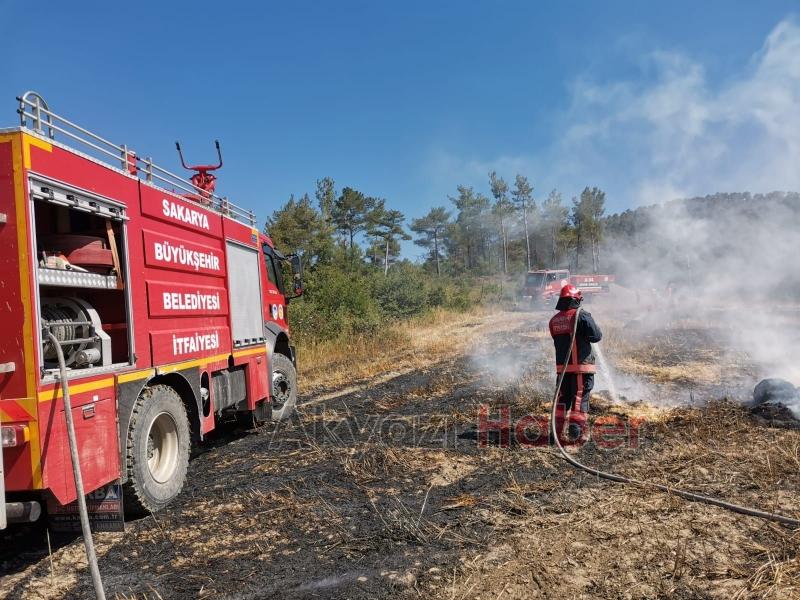 Sakarya'da 7 günde 181 yangın çıktı