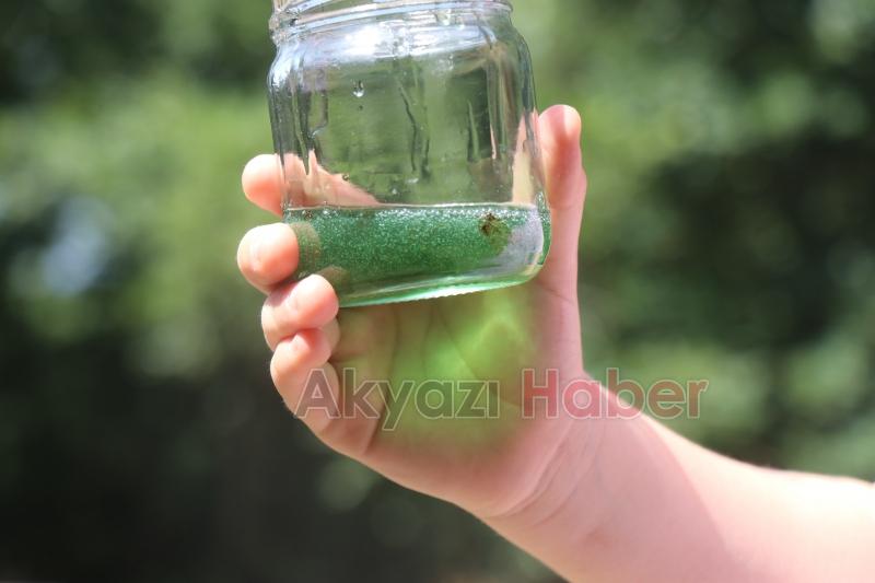 Kovanı açıp yemyeşil balı görünce şaşkına döndü