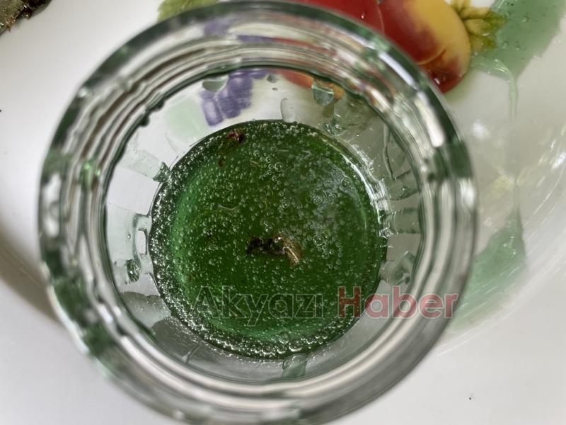 Kovanı açıp yemyeşil balı görünce şaşkına döndü