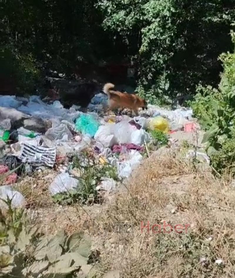 Yaylada çöpleri ormana atanlara büyük tepki