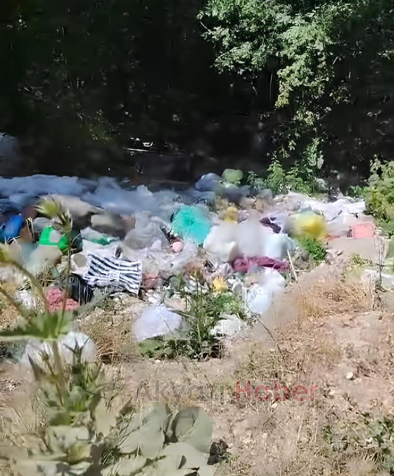 Yaylada çöpleri ormana atanlara büyük tepki