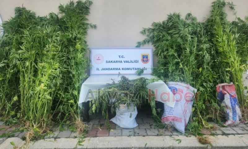 18 kilo esrar ele geçirildi