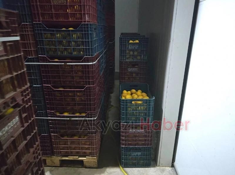 Mersin'de iki depoda kayıt dışı 380 ton limon tespit edildi