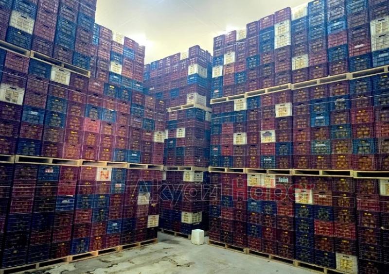 Mersin'de iki depoda kayıt dışı 380 ton limon tespit edildi