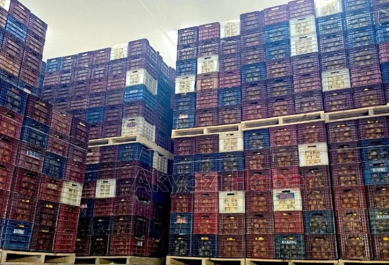 Mersin'de iki depoda kayıt dışı 380 ton limon tespit edildi