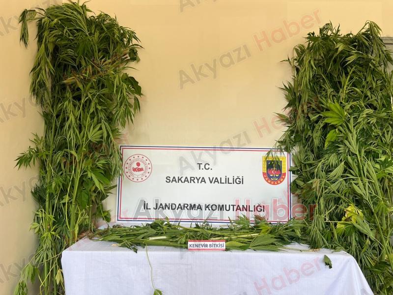 Dokurcun'da uyuşturucu operasyonu