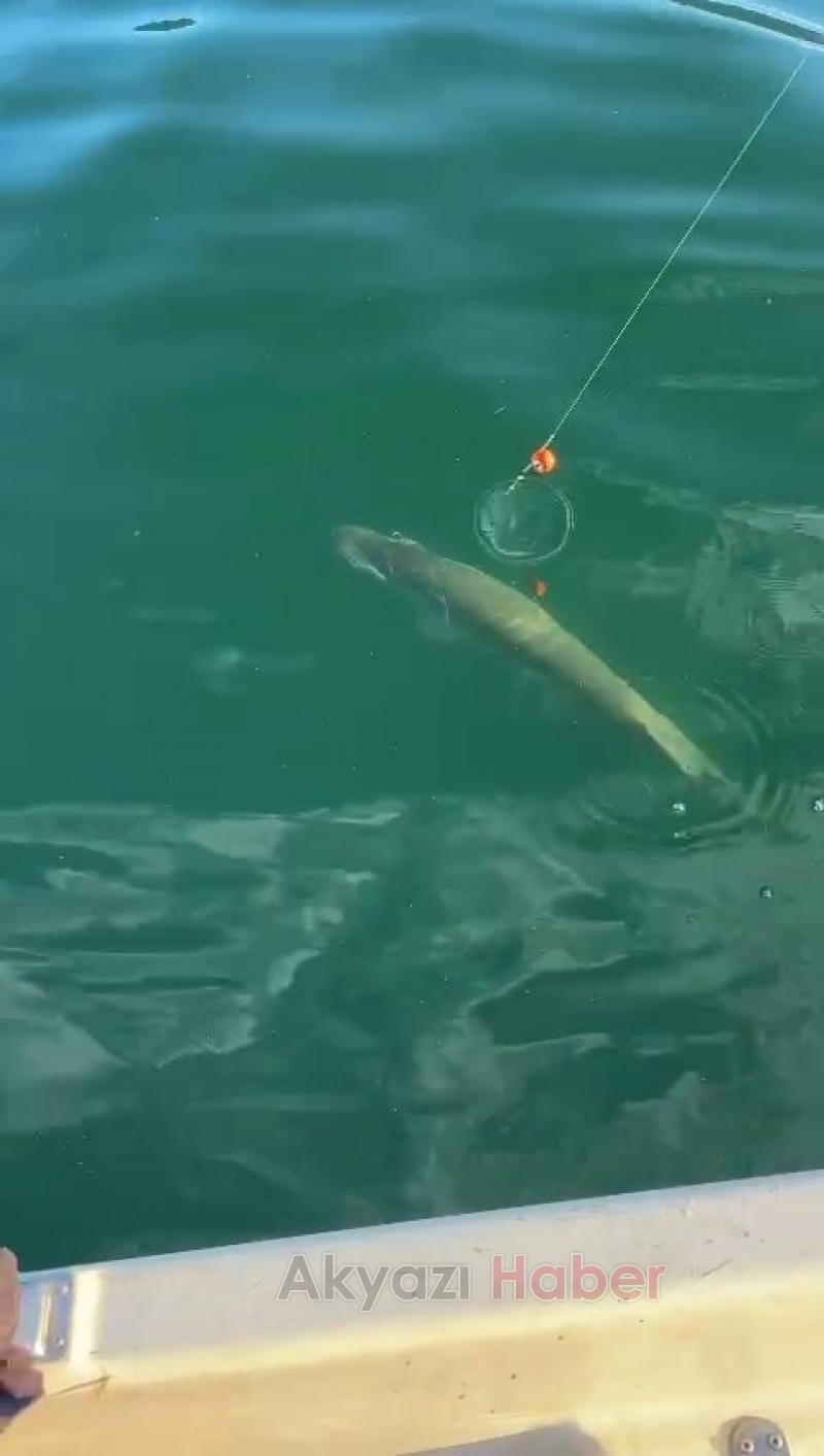 10 kiloluk turna balığını görünce tepkisi güldürdü