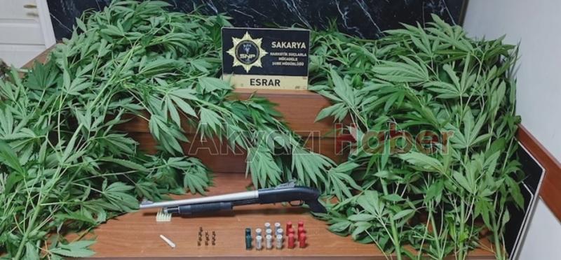 Adapazarı ve Erenler'de uyuşturucu baskınları
