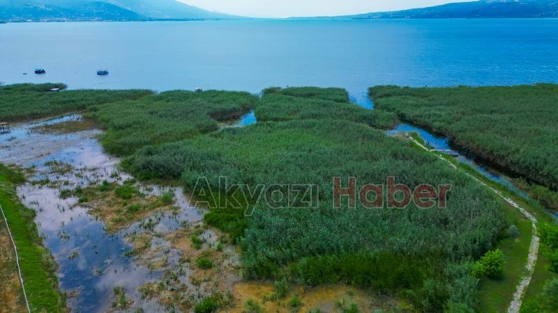 Sapanca Gölü'nün su seviyesindeki düşüş hızlandı