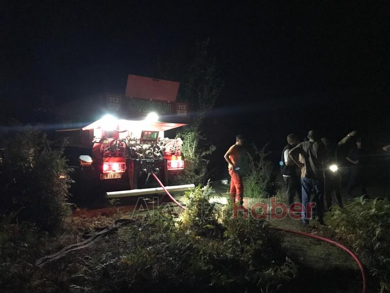 Ormanlık alanda yangın çıktı