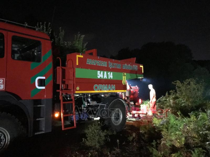 Ormanlık alanda yangın çıktı