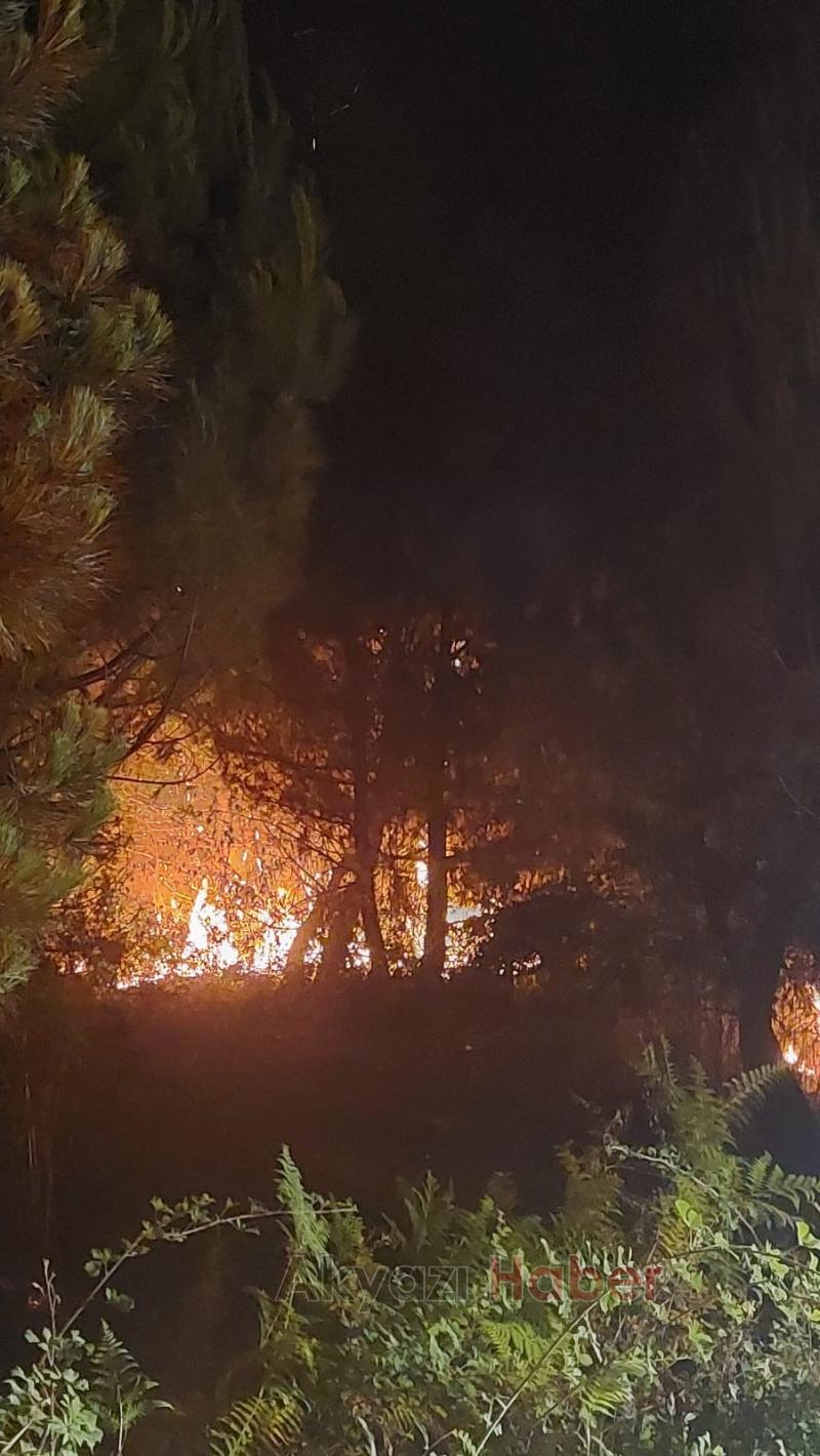 Ormanlık alanda yangın çıktı