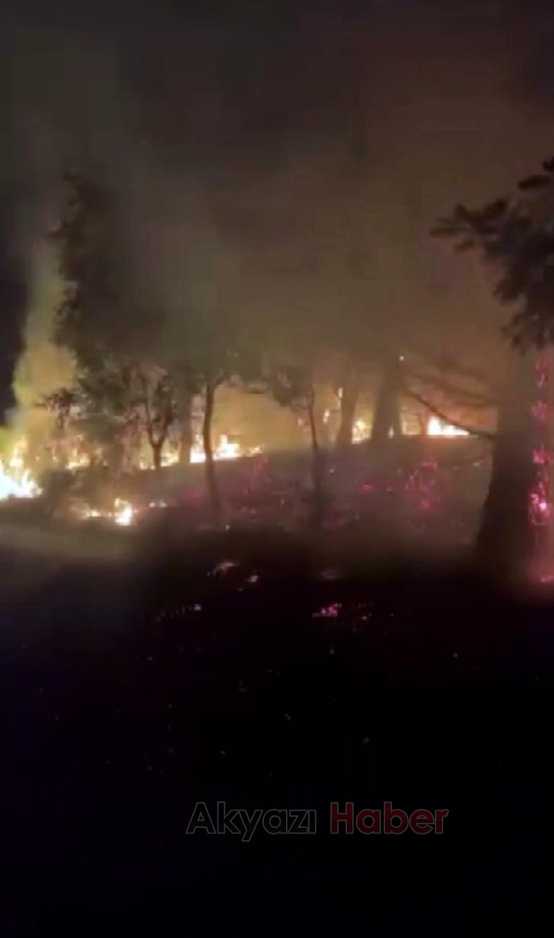 Ormanlık alanda yangın çıktı