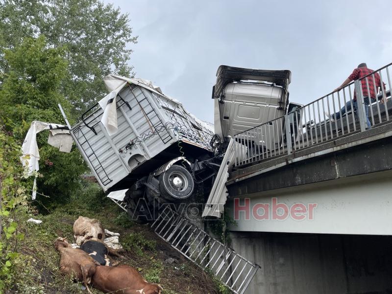 Tır asılı kaldı büyükbaş hayvanlar telef oldu