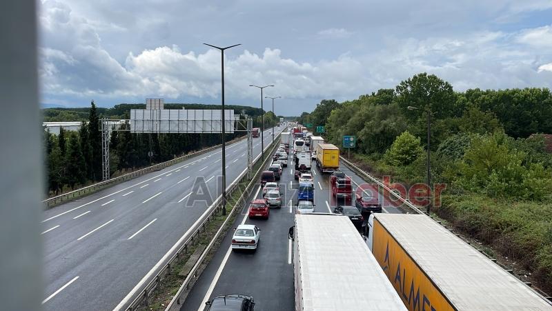 Tır asılı kaldı büyükbaş hayvanlar telef oldu