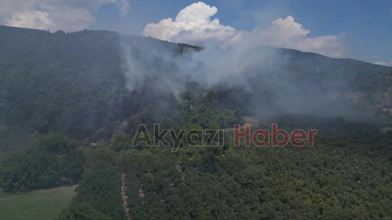 Dokurcun'daki orman yangını havadan görüntülendi