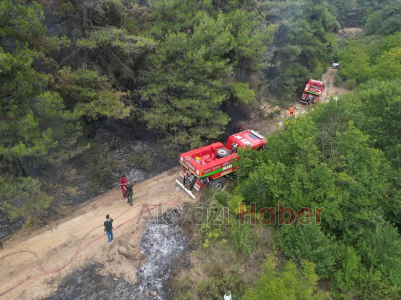 Dokurcun'daki orman yangını havadan görüntülendi