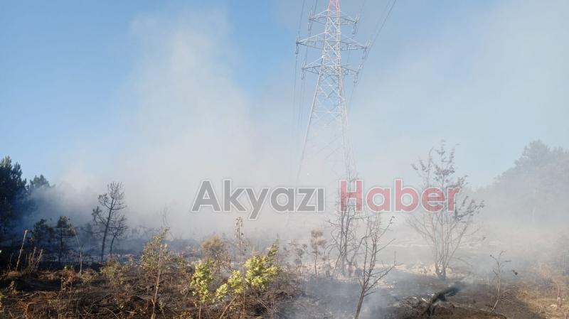 Geyve de orman yangını