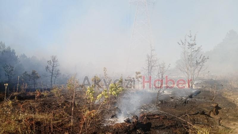 Geyve de orman yangını