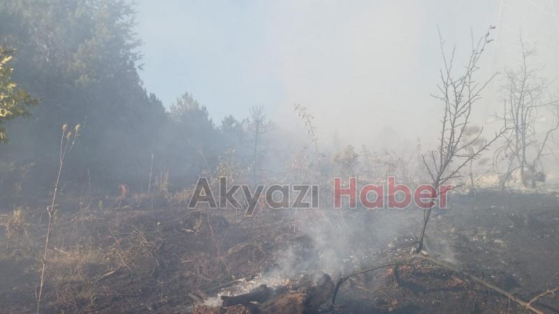 Geyve de orman yangını