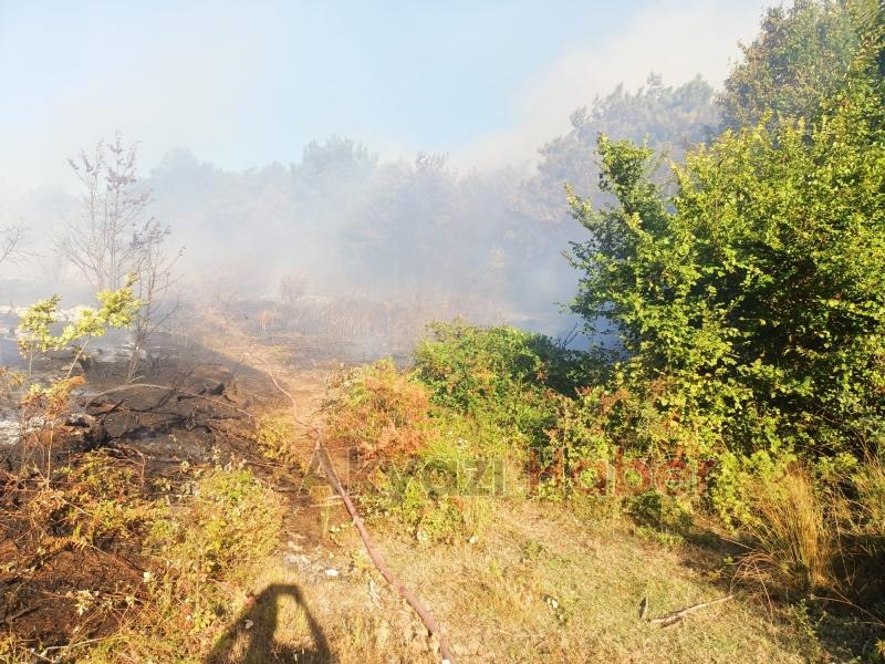 Geyve de orman yangını