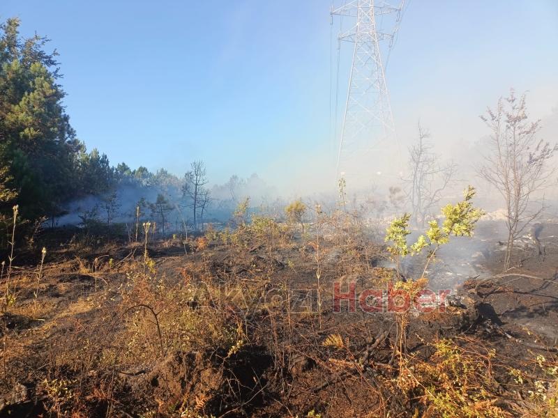 Geyve de orman yangını