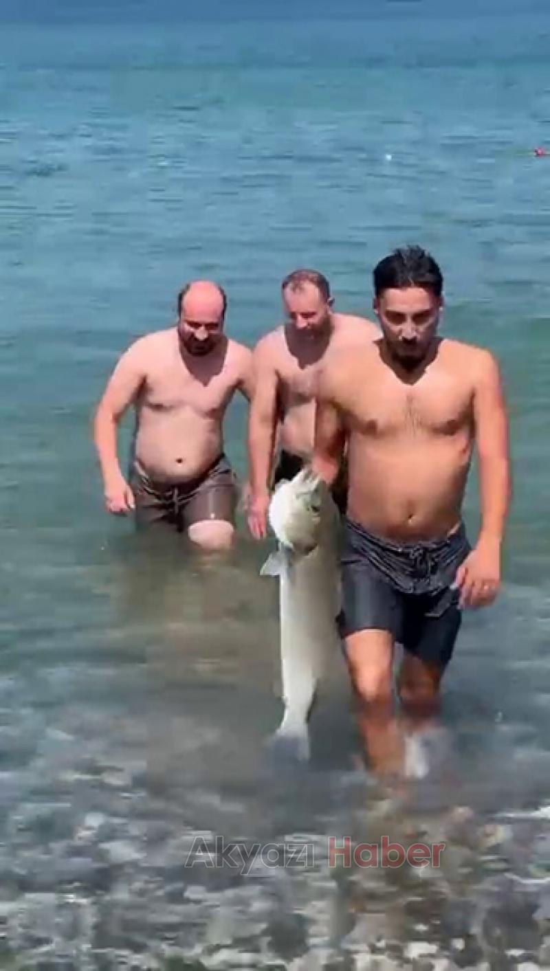 Denizde eliyle 6 kiloluk levrek yakaladı