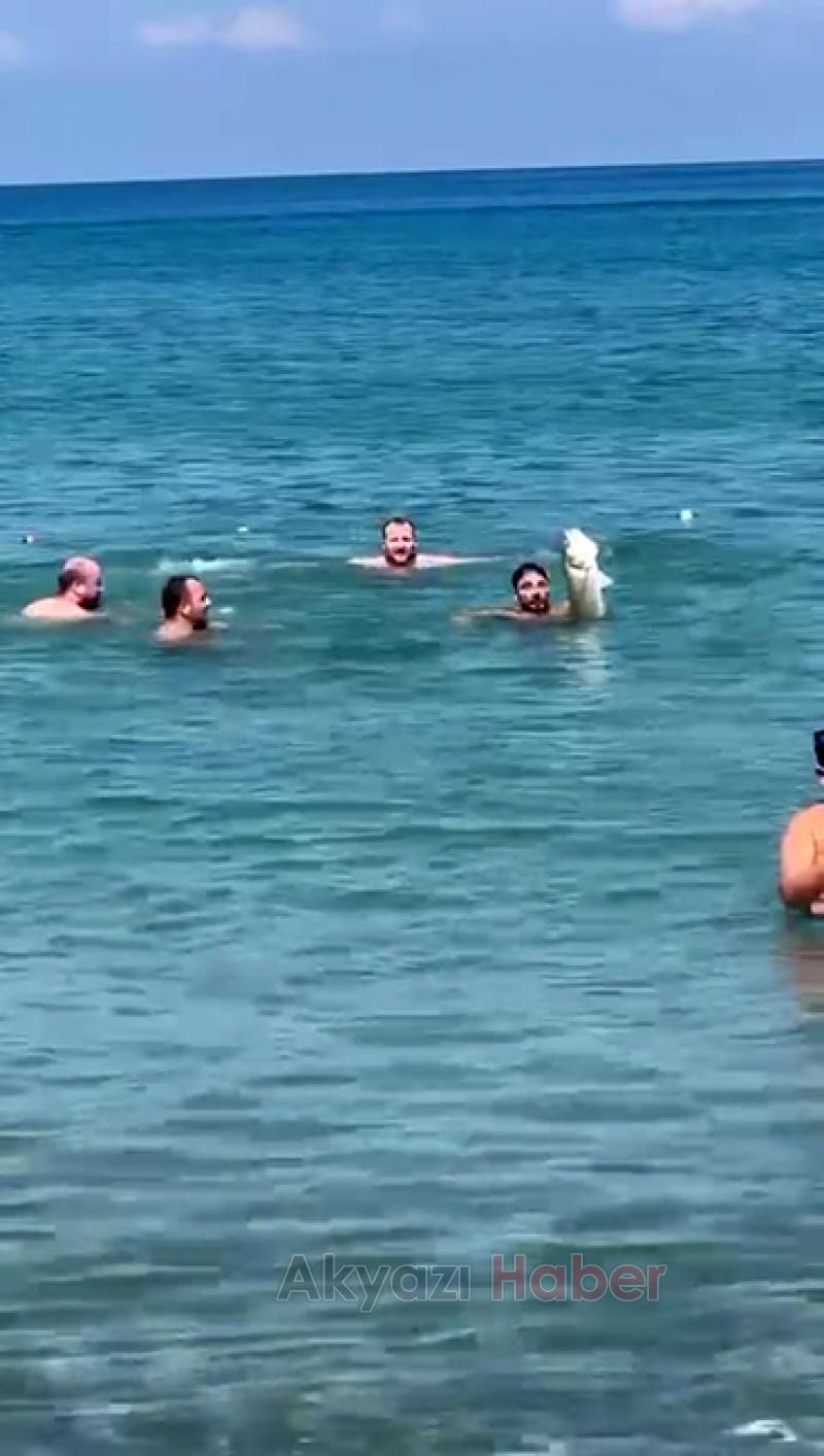 Denizde eliyle 6 kiloluk levrek yakaladı