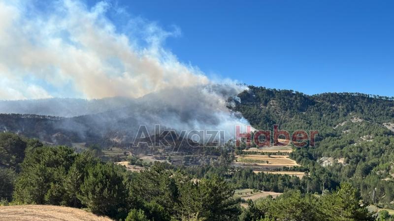 Göynük'teki orman yangınından fotoğraflar