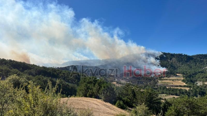 Göynük'teki orman yangınından fotoğraflar
