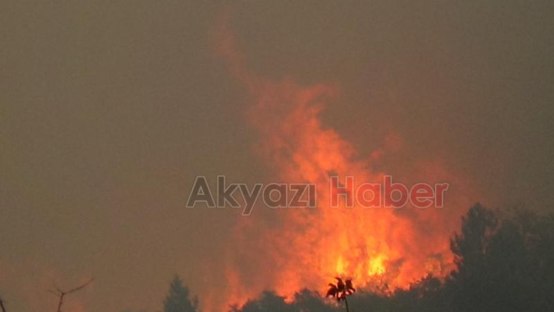 Göynük'teki orman yangınından fotoğraflar