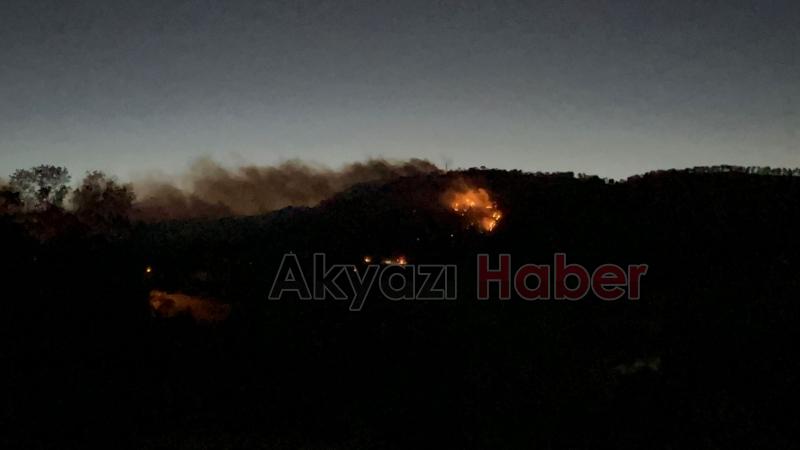 Göynük'teki orman yangınından fotoğraflar