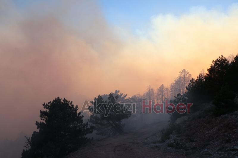 Göynük'teki orman yangınından fotoğraflar