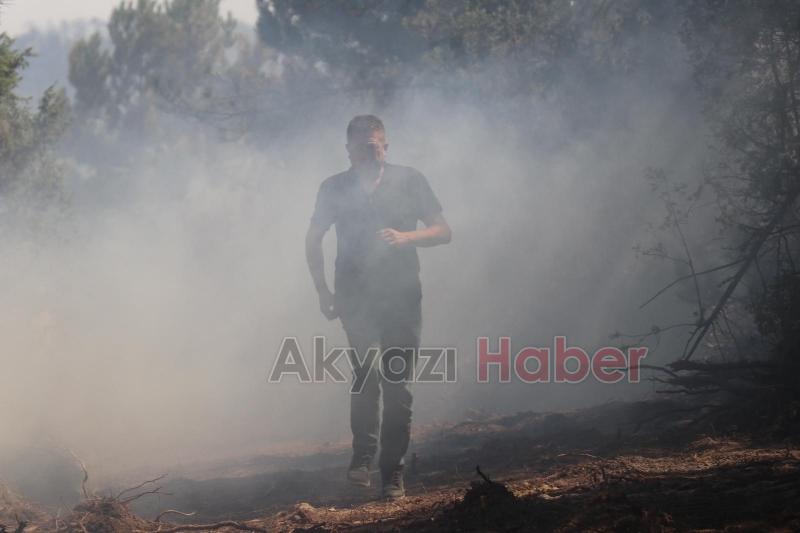 Göynük'teki orman yangınında son durum