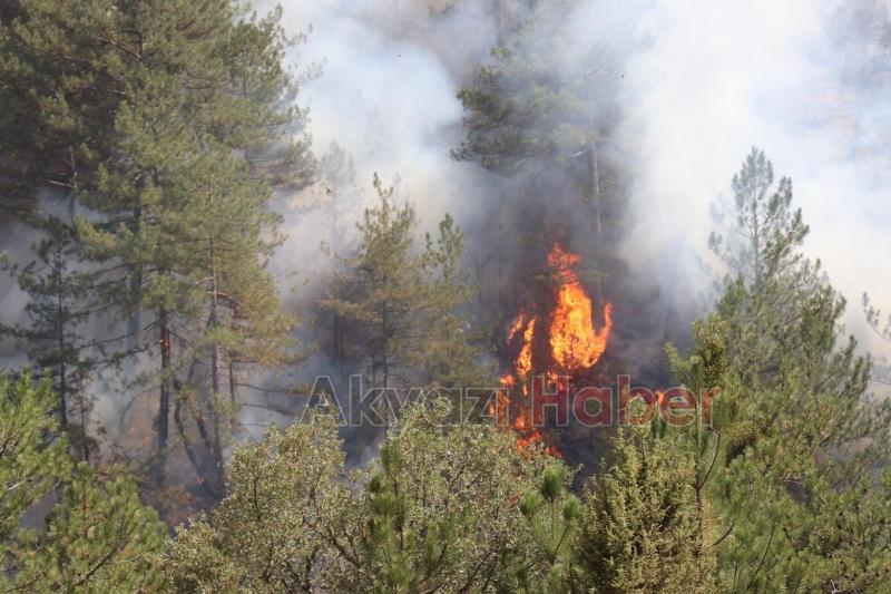Göynük'teki orman yangınında son durum