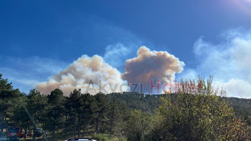 Göynük'teki orman yangını kontrol altına alınamadı