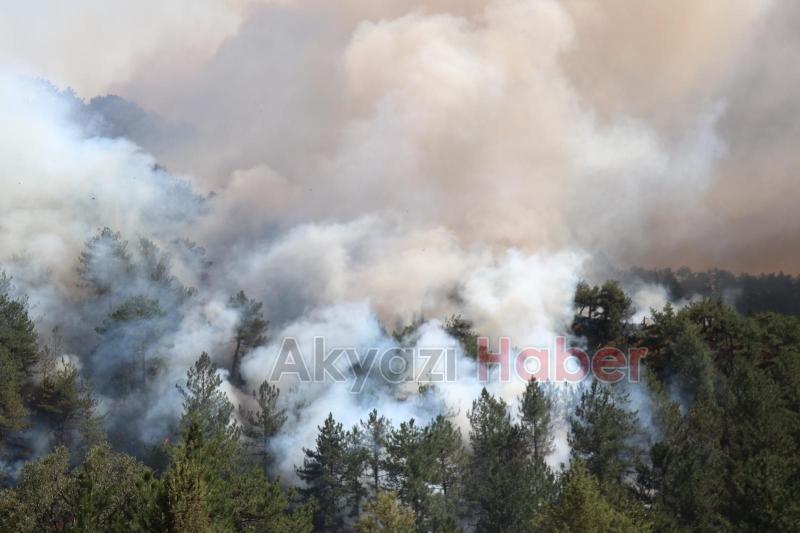 Göynük'teki orman yangını kontrol altına alınamadı