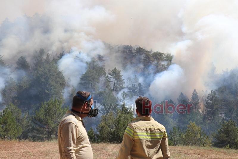 Göynük'teki orman yangını kontrol altına alınamadı