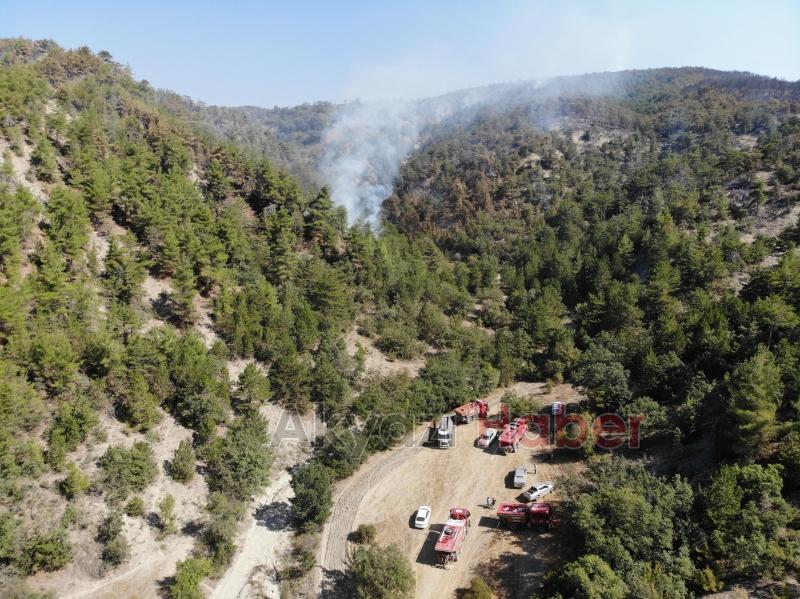 Göynük'teki orman yangını kontrol altına alındı