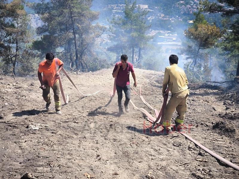 Göynük'teki orman yangını kontrol altına alındı