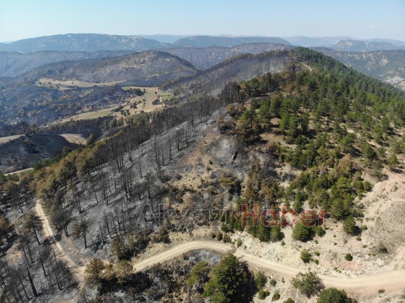 Göynük'teki yangının boyutu havadan görüntülendi