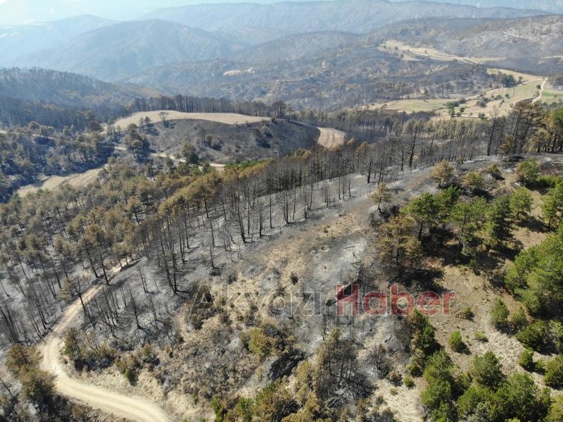 Göynük'teki yangının boyutu havadan görüntülendi