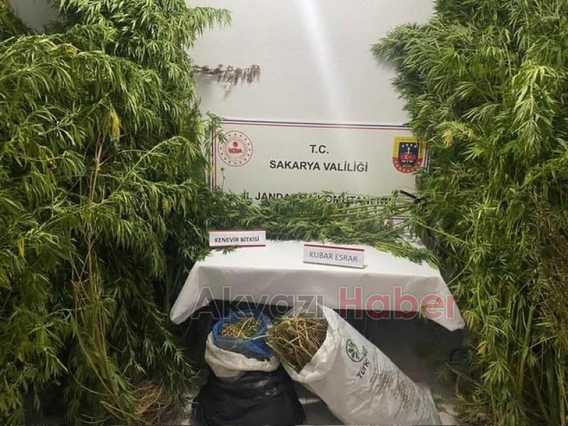 Hendek ve Pamukova'da uyuşturucu operasyonu