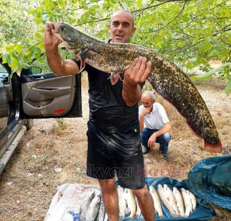 Akyazılı balıkçılar Bilecik'ten bol balıkla döndü
