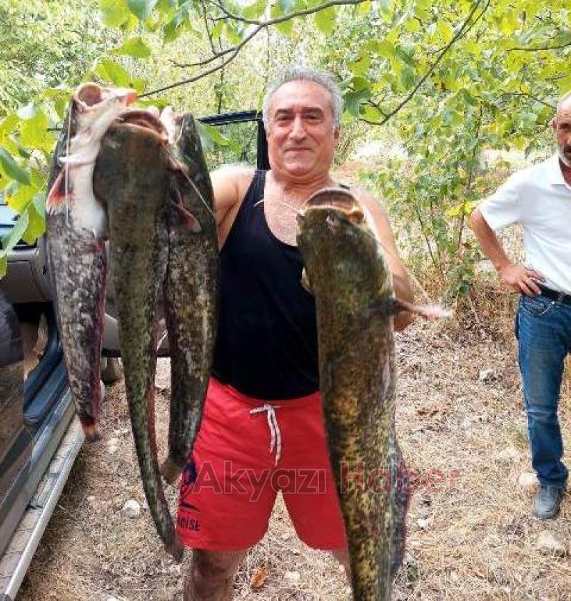 Akyazılı balıkçılar Bilecik'ten bol balıkla döndü