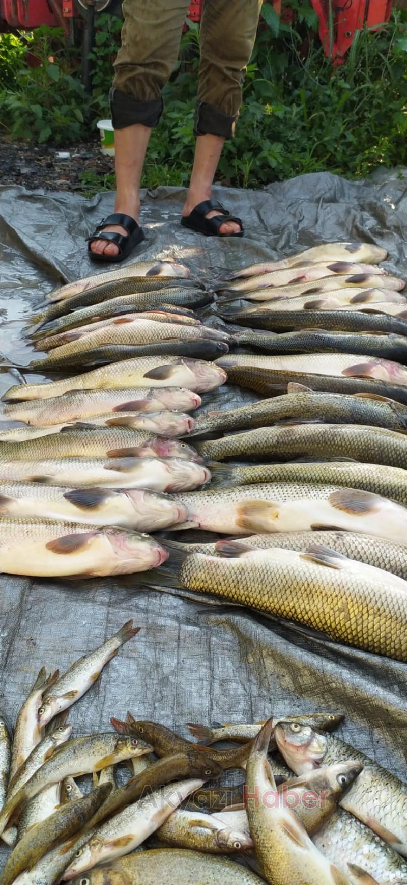 Akyazılı balıkçılar Bilecik'ten bol balıkla döndü