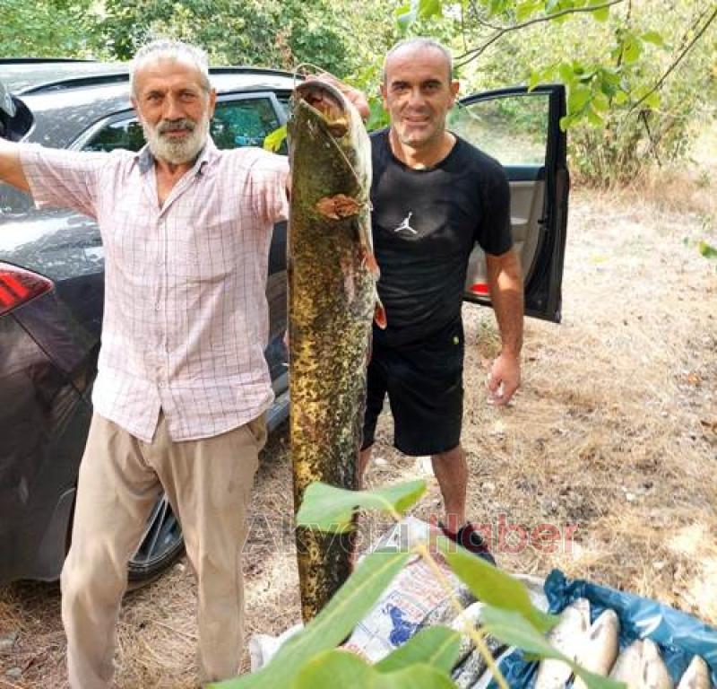 Akyazılı balıkçılar Bilecik'ten bol balıkla döndü